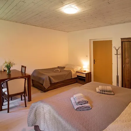 U Sumavskych Pramenu Guest house *